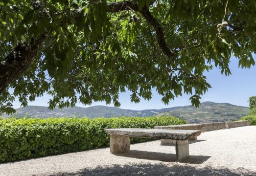 Casa de Casal de LoivosHotel Overview