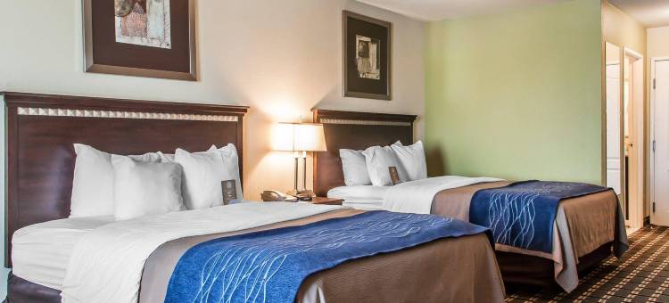 埃尔克城南部的舒适酒店及套房(Comfort Inn & Suites)图片