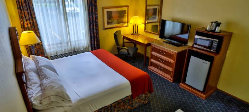 万豪城市快捷伯米吉酒店(City Express by Marriott Bemidji)图片