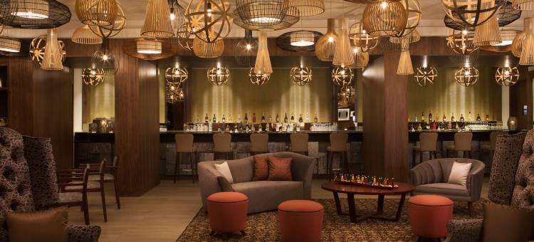 拉各斯伊凯贾丽笙酒店(Radisson Blu Hotel, Lagos Ikeja)图片