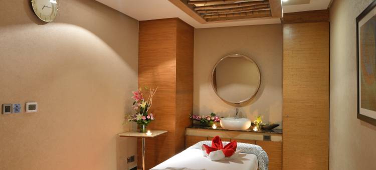 卡萨比德里NCR丽笙酒店(Radisson Blu Kaushambi Delhi NCR)图片