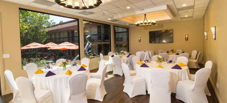 棕榈树花园酒店(Palm Garden Hotel)图片