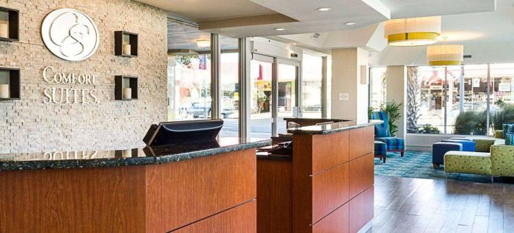 海滨舒适套房酒店(Comfort Suites Beachfront)图片