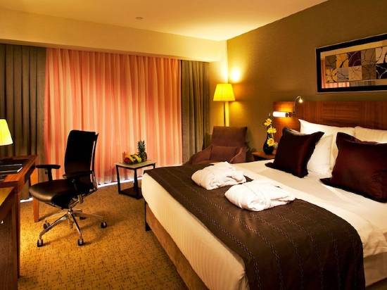 伊斯坦布爾哈比皇冠假日酒店