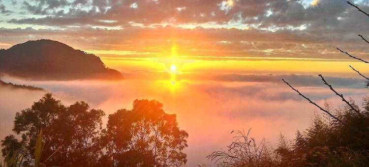 嘉义新天山茶叶民宿图片