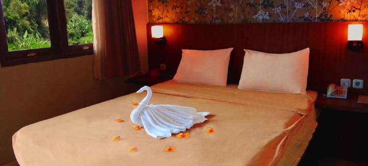 巧克力别墅(Villa Chocolate)图片