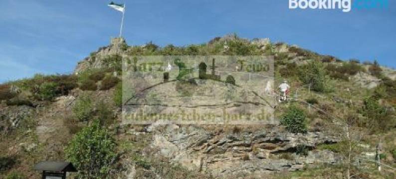 Eulennestchen-Harz Fewo S1 & L2 Für Single, Paar Oder Familie & Hund Oberharz图片