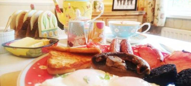 Meadow View B&B图片