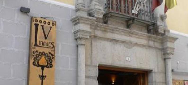 洛辛科利纳杰皇家旅馆(Posada Real Los Cinco Linajes)图片