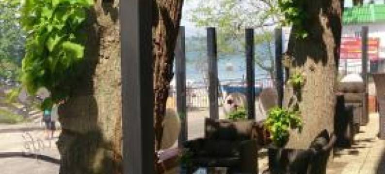 海滩假日旅馆(Dom Wczasowy Plaża)图片