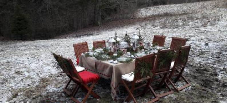 Mošķu Pirts meža māja图片