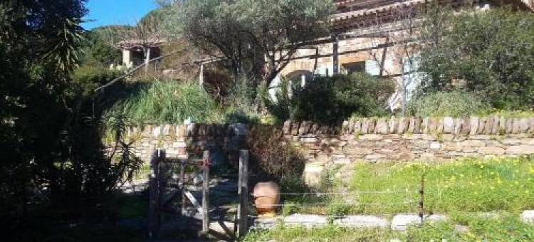 Massacan-Vue Mer图片