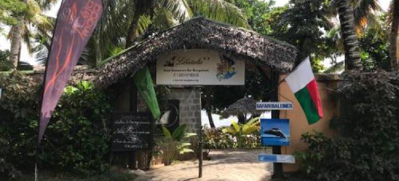 里贝塔利亚酒店(Libertalia Hotel)图片