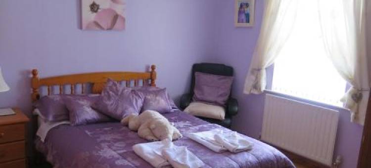 格伦黑文住宿加早餐旅馆(Glen Haven Bed and Breakfast)图片