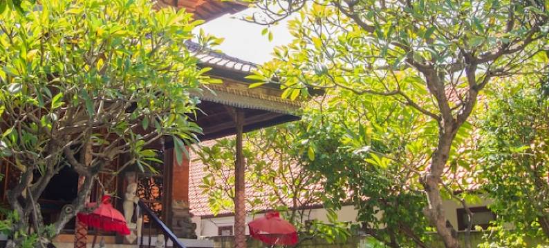 阿比安斯拉马水疗酒店(Abian Srama Hotel and Spa)图片