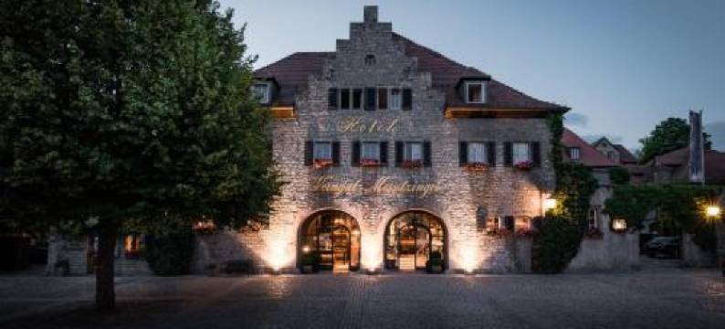 弗里肯豪森迈恩辛格酒庄酒店(Hotel / Weingut Meintzinger)图片