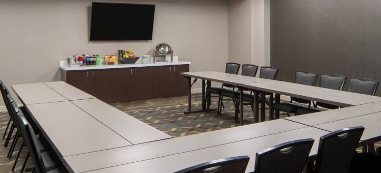 新奥尔良会议中心索尼斯塔ES套房酒店(Sonesta ES Suites New Orleans Convention Center)图片