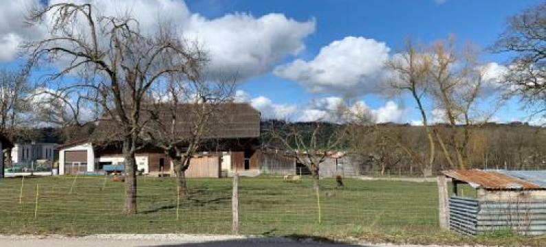 C&C Eco Studio图片