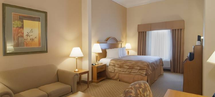 新凯尼贝斯特韦斯特优质套房酒店(Best Western Plus New Caney Inn  Suites)图片