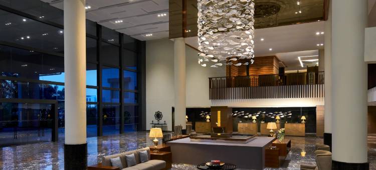 柔佛州新山市万丽酒店(Renaissance Johor Bahru Hotel)图片