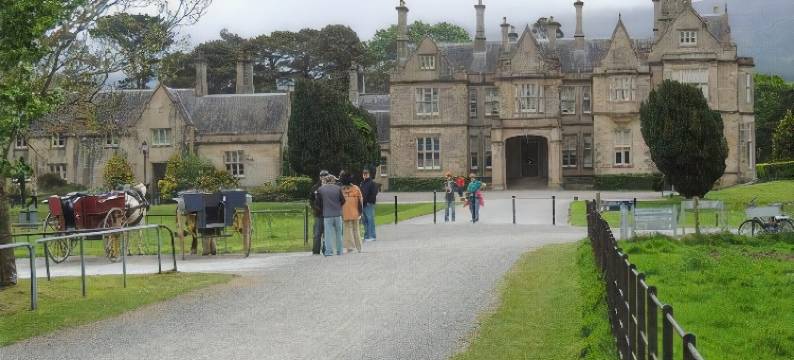 斯里瓦布卢姆庄园生态民宿(Slieve Bloom Manor Eco B&B)图片