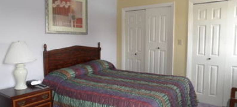 松树溪汽车旅馆(Pinebrook Motel)图片