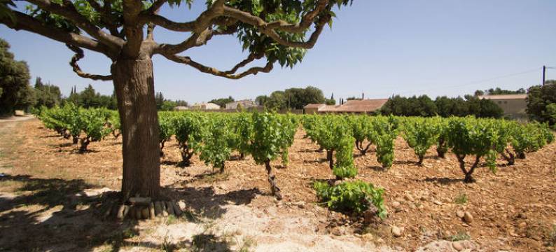 Cozy Holiday Home in Sorgues with Garden图片