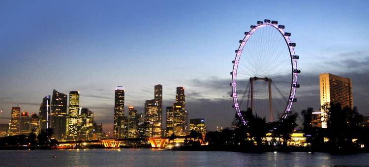 新加坡喜来登酒店(Sheraton Towers Singapore)图片