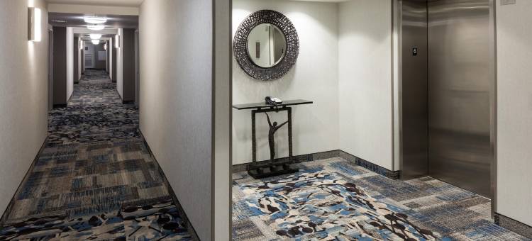 丹佛市区希尔顿花园酒店(Hilton Garden Inn Denver Downtown)图片