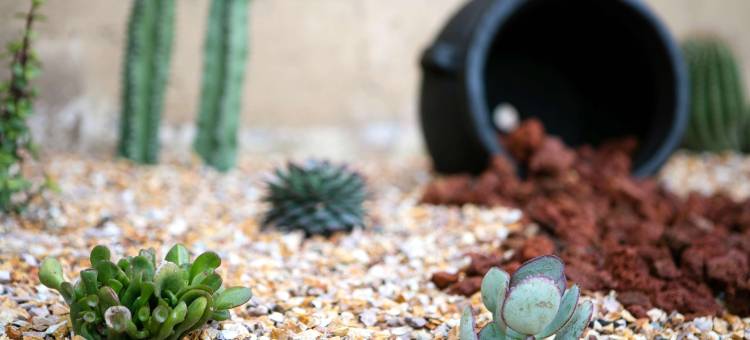 The Midtowner Hotel, SureStay Collection by Best Western图片