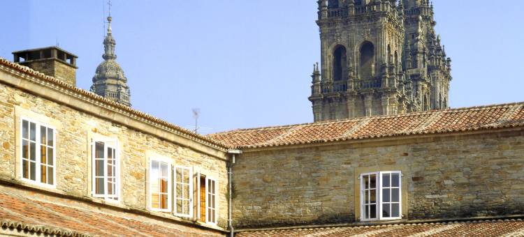 圣地亚哥德孔波斯特拉酒店(Parador de Santiago - Hostal Dos Reis Catolicos)图片