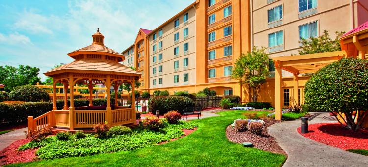 温斯顿塞勒姆拉昆塔温德姆套房酒店(La Quinta Inn & Suites by Wyndham Winston-Salem)图片