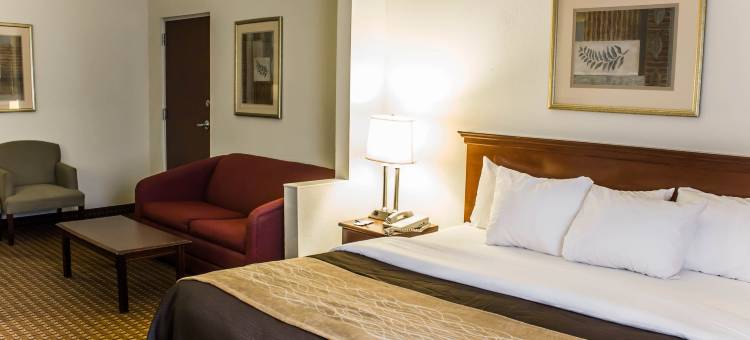 牛津南舒适套房酒店(Comfort Inn & Suites Oxford South)图片