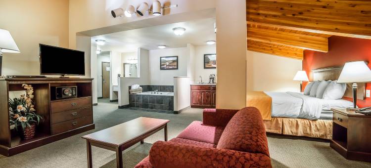 怀俄明大学附近舒适套房酒店(Comfort Inn Near University of Wyoming)图片