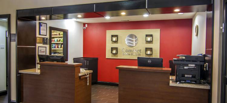 舒适酒店及套房-达拉斯市场中心(Comfort Inn & Suites Love Field-Dallas Market Center)图片