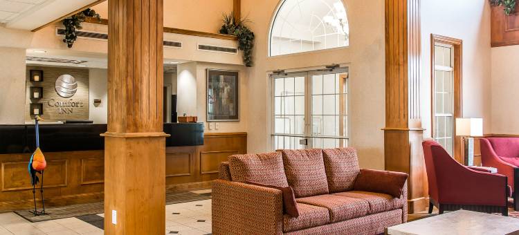 切尔西舒适酒店(Comfort Inn)图片