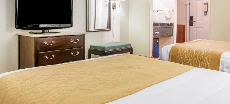 湖滨舒适酒店(Comfort Inn Lakeside)图片