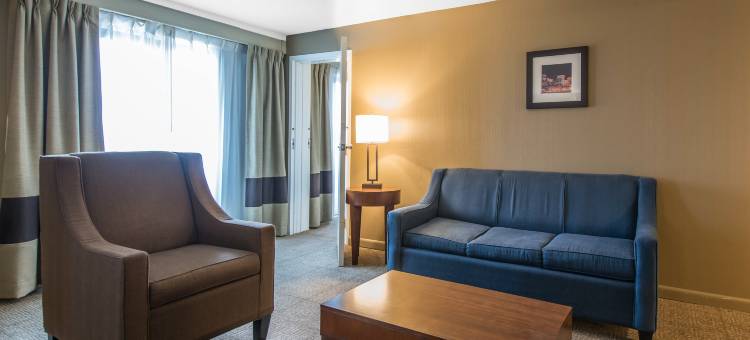 丹佛中心宾馆(Holiday Inn Express Denver Central - North)图片