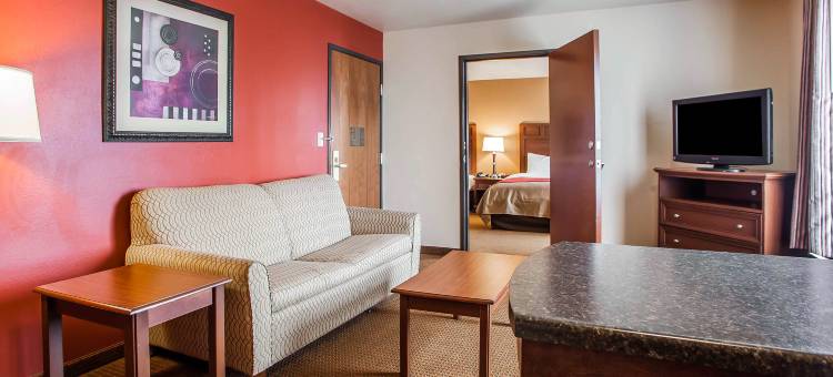 格林内尔舒适套房酒店 - 近 I-80(Comfort Inn & Suites Grinnell Near I-80)图片