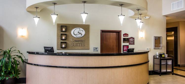 舒适套房酒店-近葛底斯堡战场游客中心(Comfort Suites Near Gettysburg Battlefield Visitor Center)图片