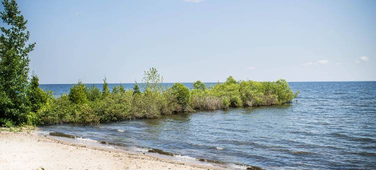 海湾伊克诺旅馆(Econo Lodge on the Bay)图片