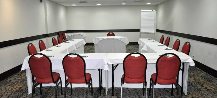 诺富特圣保罗雅尔丁酒店(Novotel São Paulo Jardins)图片