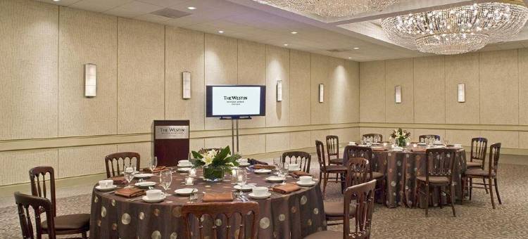 芝加哥密歇根大道威斯汀酒店(The Westin Michigan Avenue Chicago)图片