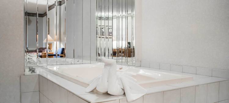 瀑布伊康旅馆(Econo Lodge by the Falls)图片