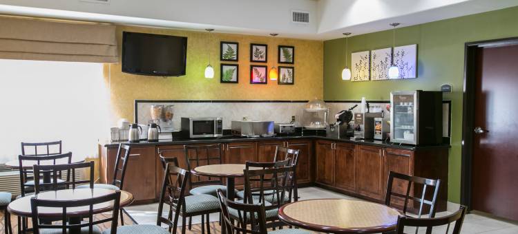 市中心北部附近-舒眠套房酒店(Sleep Inn and Suites Downtown Houston)图片
