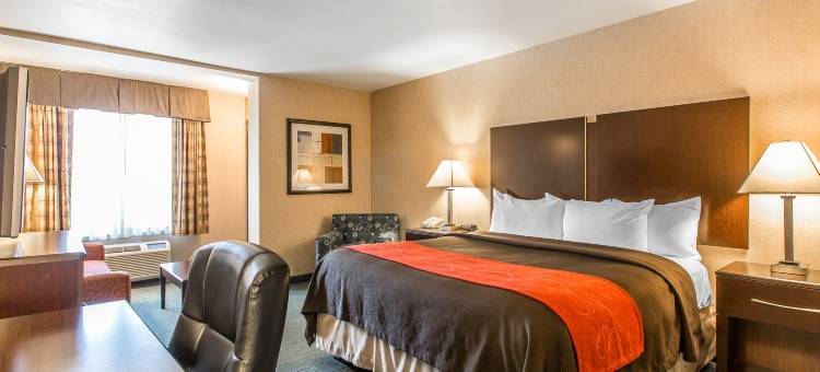 科尔顿舒适套房酒店(Comfort Inn & Suites)图片