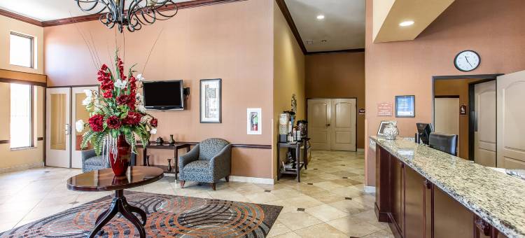 科尔顿舒适套房酒店(Comfort Inn & Suites)图片