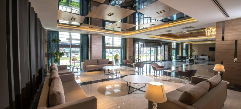 萨卡里亚高级旅馆(Premier Inn Sakarya)图片