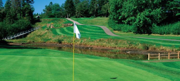 迪格比松树高尔夫度假村及水疗中心(Digby Pines Golf Resort and Spa)图片