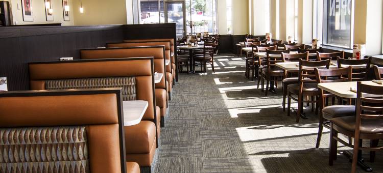 尼亚加拉瀑布/瀑布景观温德姆花园酒店(Wyndham Garden Niagara Falls Fallsview)图片